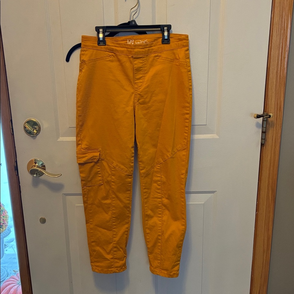 DG2 by Diane Gilman Women's Skinny Pants in Amber